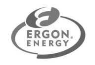 ergon-energy