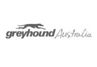 greyhound-australia